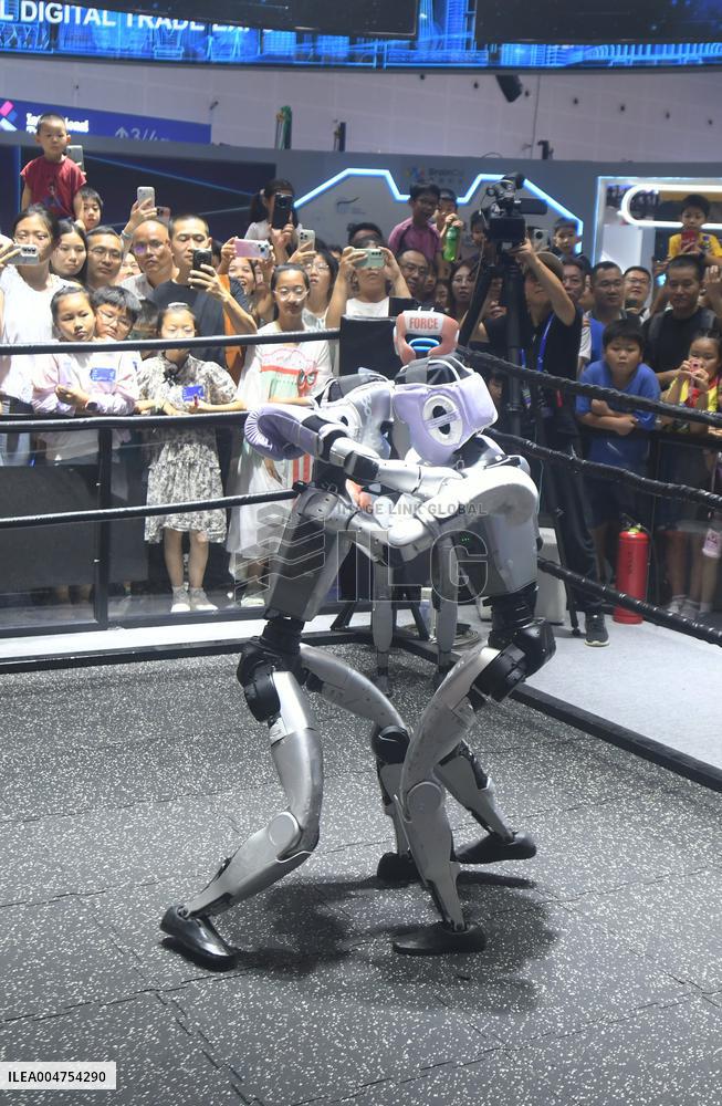 Humanoid Fighting Robot