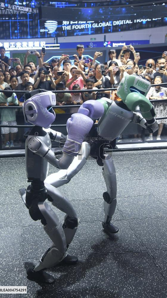 Humanoid Fighting Robot