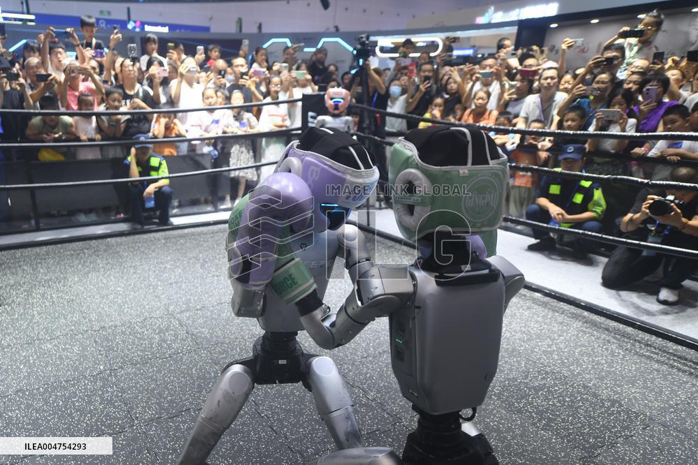 Humanoid Fighting Robot