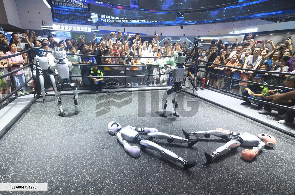 Humanoid Fighting Robot