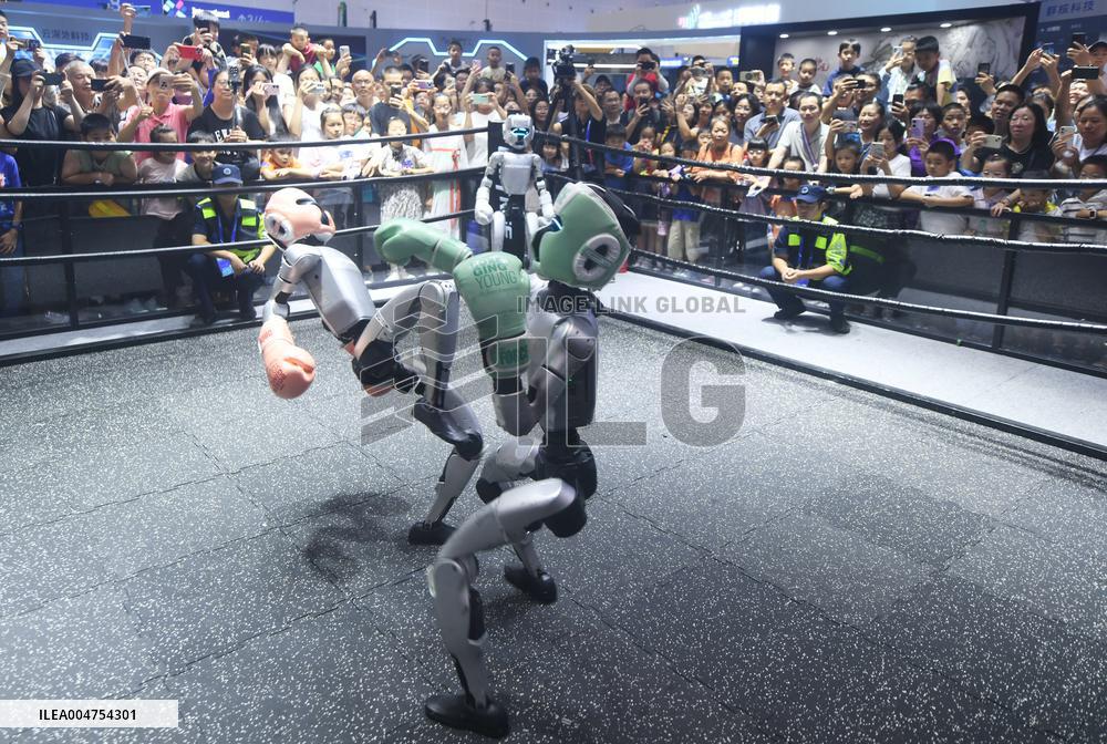 Humanoid Fighting Robot