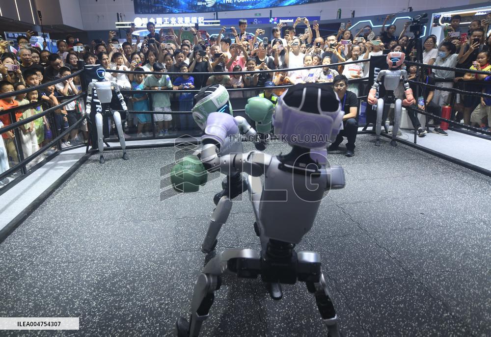 Humanoid Fighting Robot