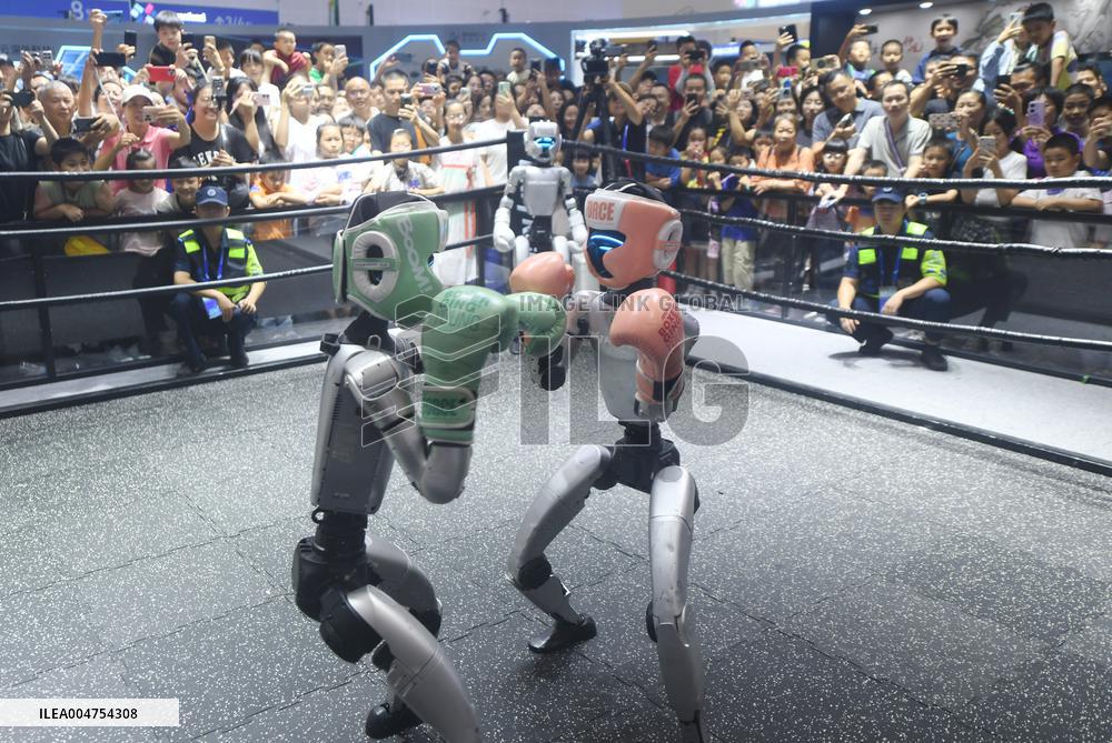 Humanoid Fighting Robot