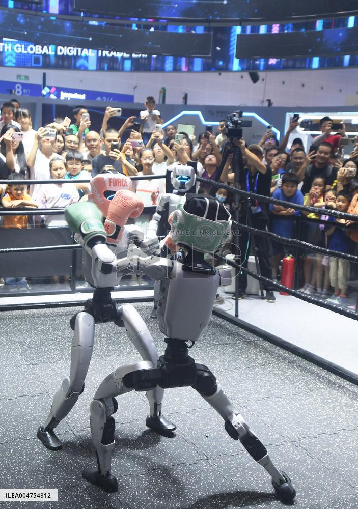 Humanoid Fighting Robot