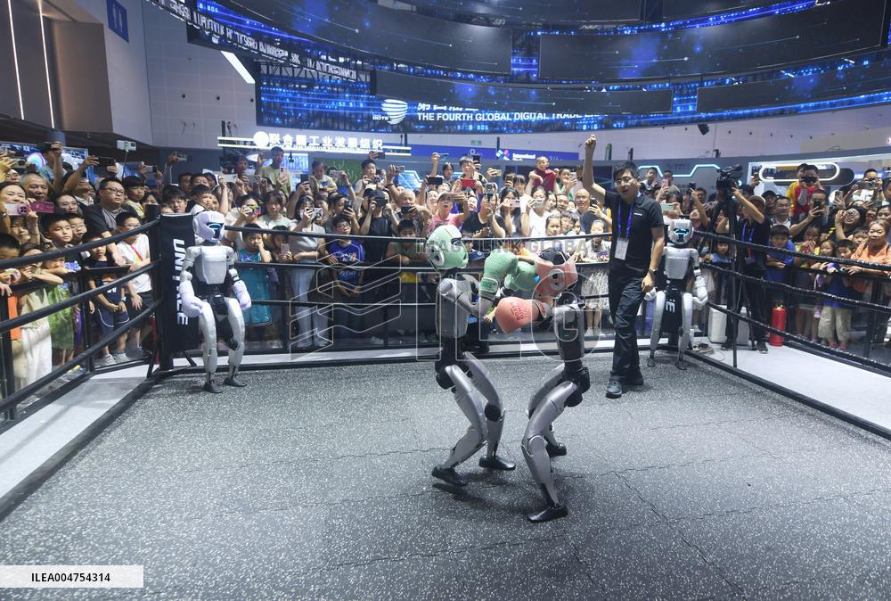 Humanoid Fighting Robot