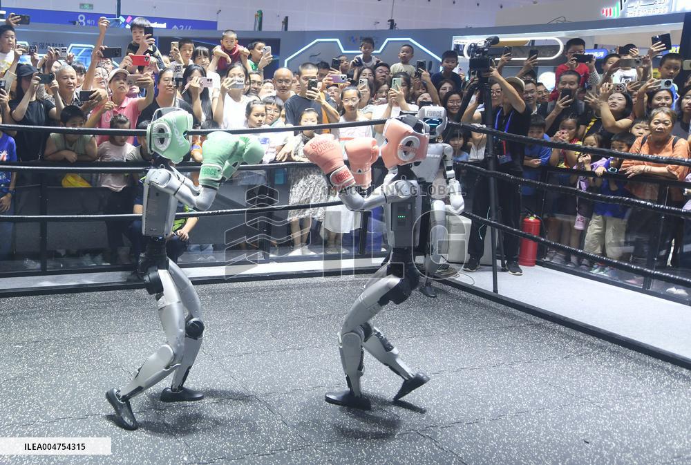 Humanoid Fighting Robot