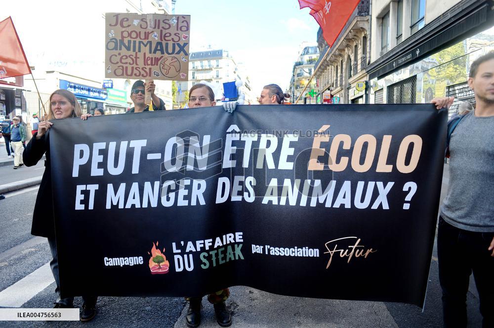 Climate Marches Held In Paris - France