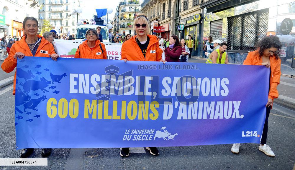 Climate Marches Held In Paris - France