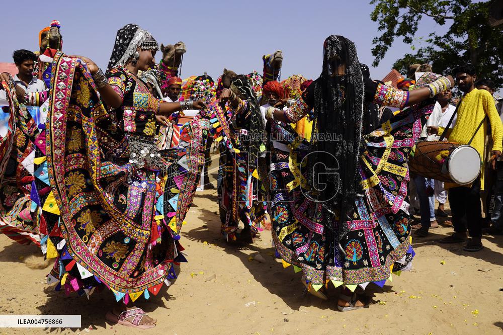 Indian Kalbeliya Gypsy Dancers Performs - India