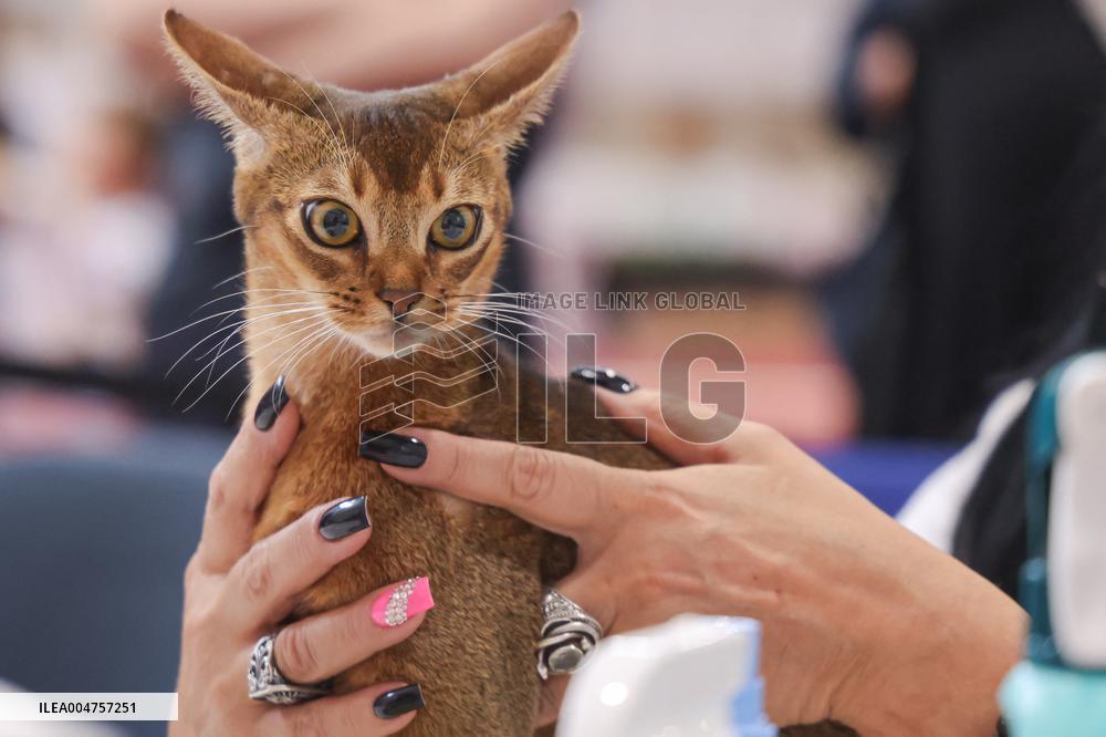 Budapest World Cat Show - Hungary