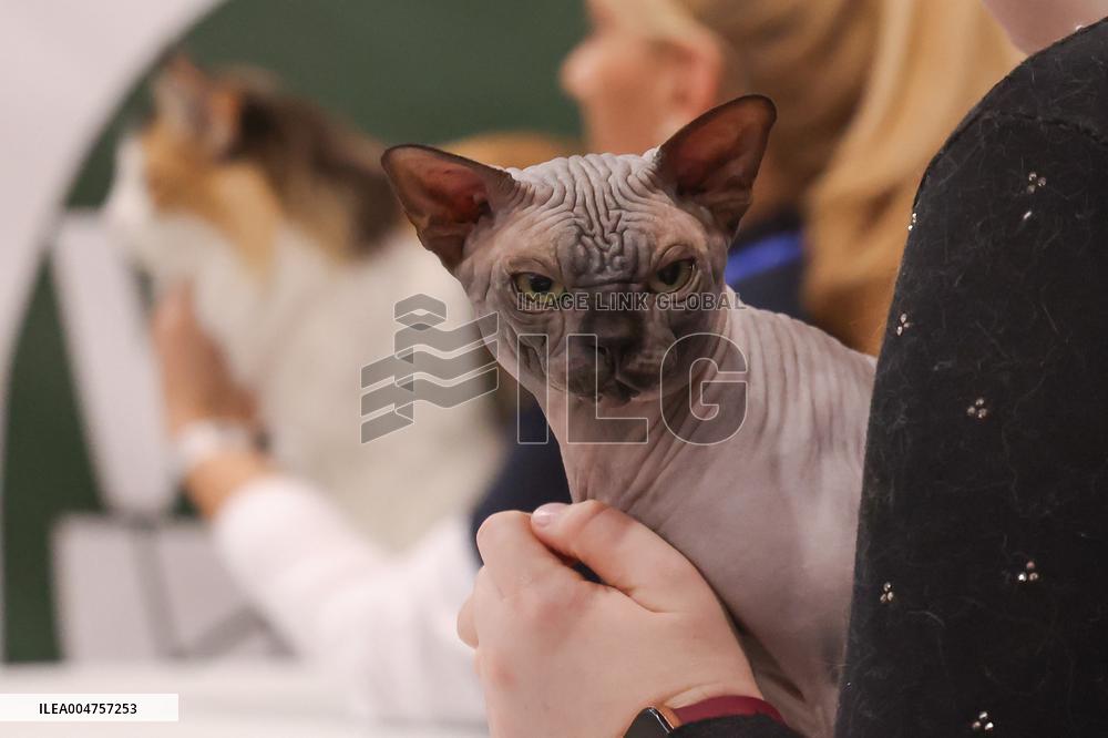 Budapest World Cat Show - Hungary