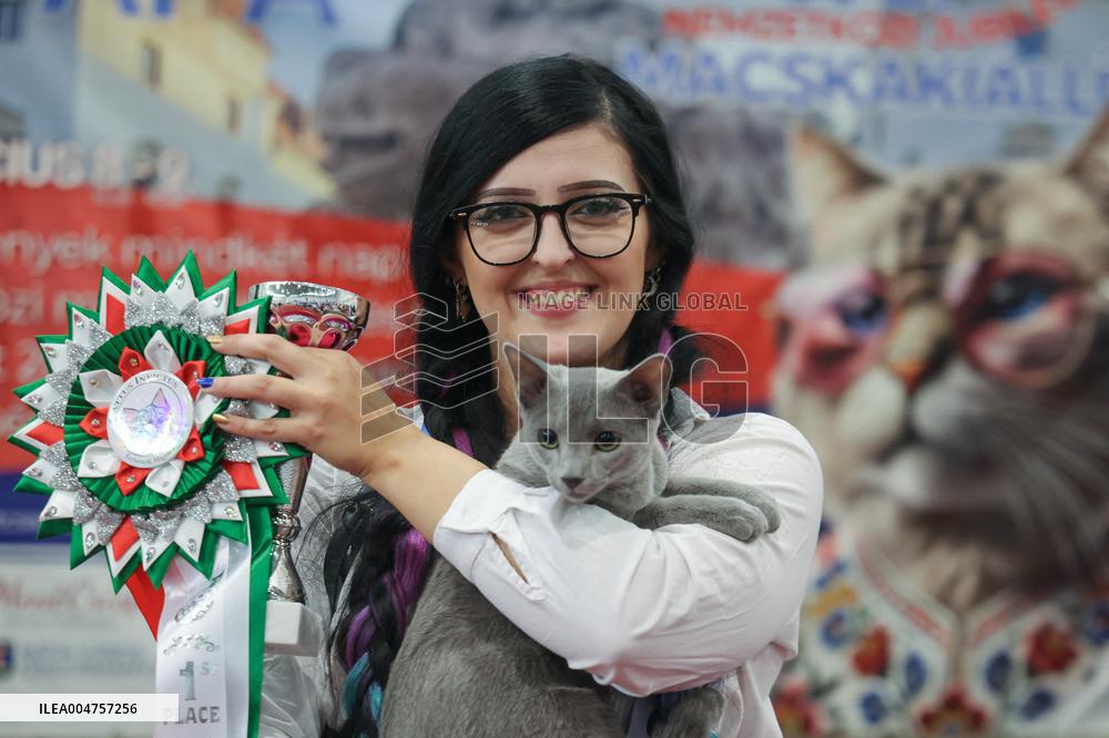 Budapest World Cat Show - Hungary