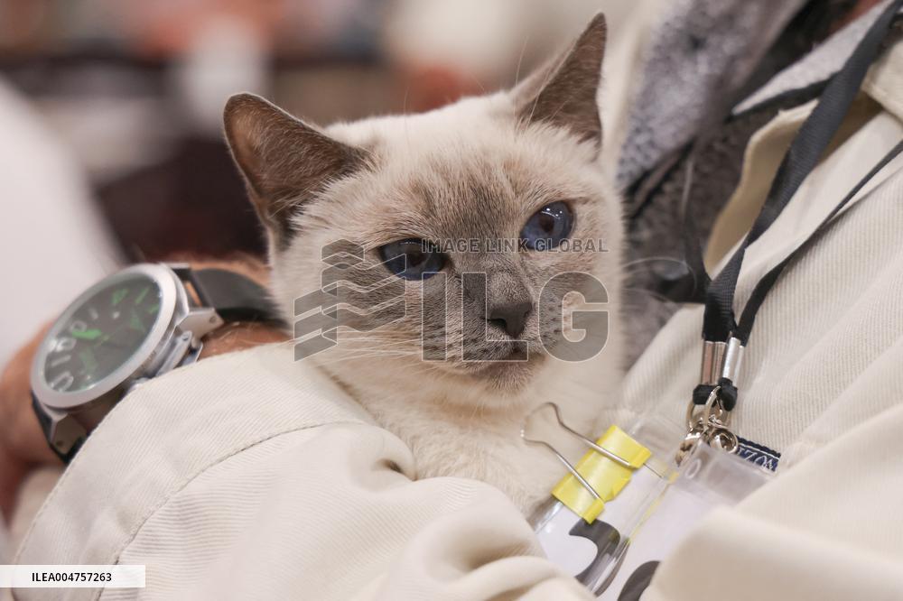 Budapest World Cat Show - Hungary