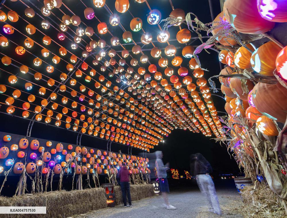 CANADA-MILTON-PUMPKINS AFTER DARK