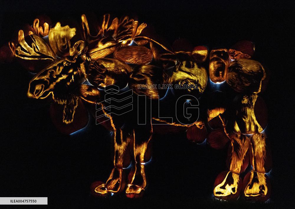 CANADA-MILTON-PUMPKINS AFTER DARK