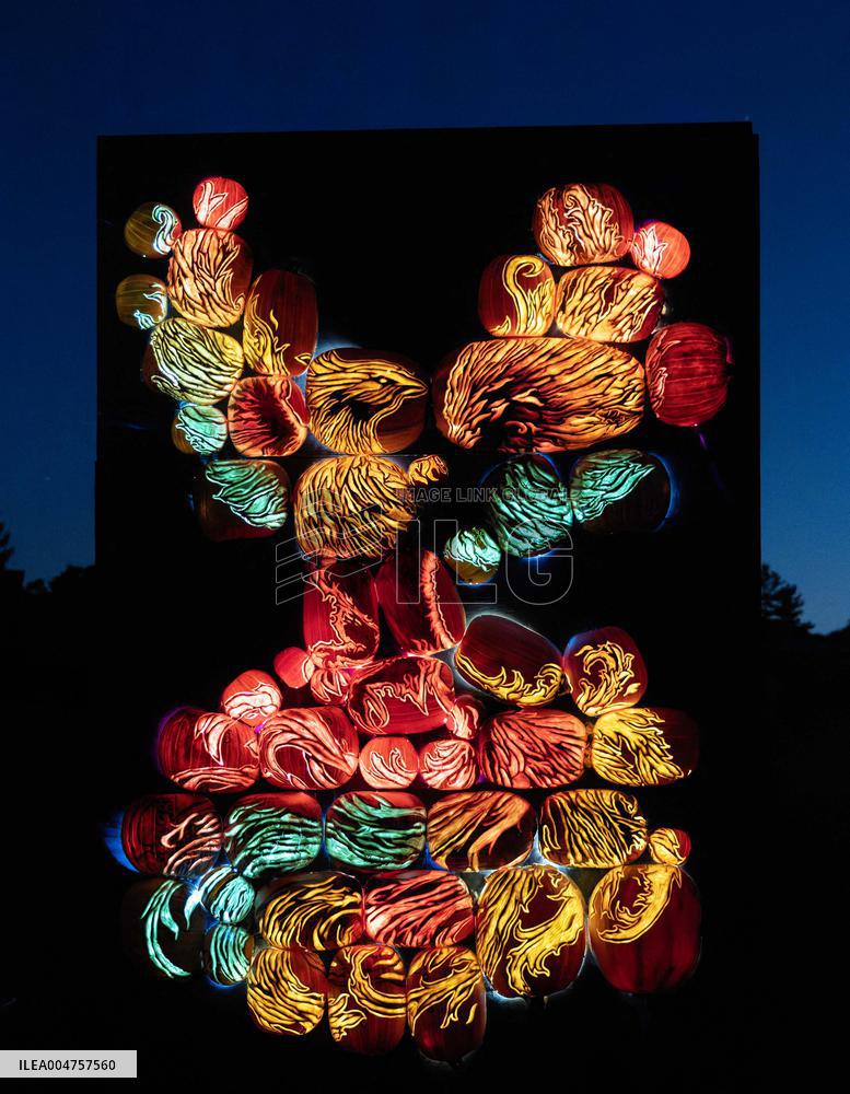 CANADA-MILTON-PUMPKINS AFTER DARK