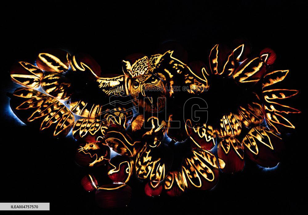 CANADA-MILTON-PUMPKINS AFTER DARK