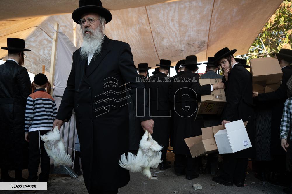 Ultra-Orthodox Jews Select Chickens Before the Kaparot Ritual - Jerusalem