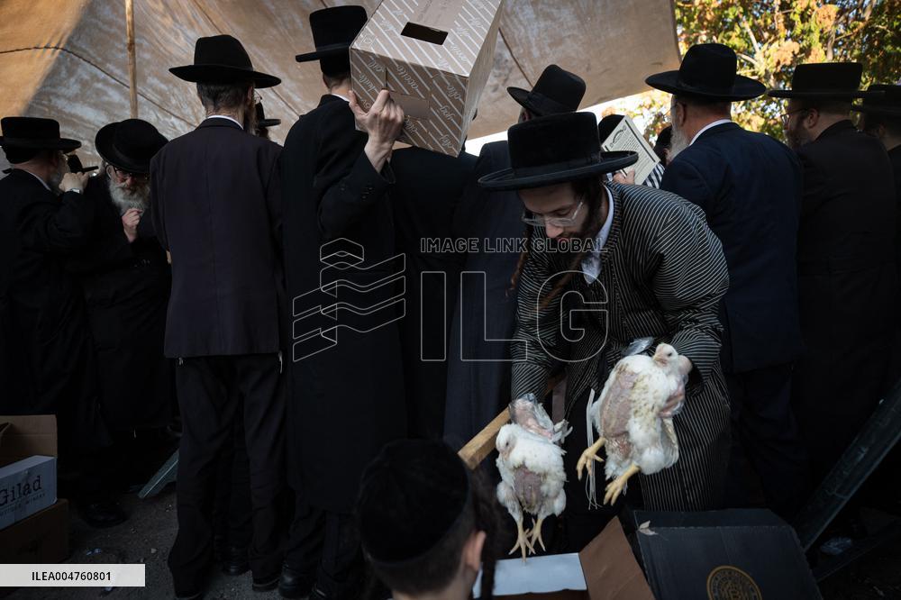 Ultra-Orthodox Jews Select Chickens Before the Kaparot Ritual - Jerusalem