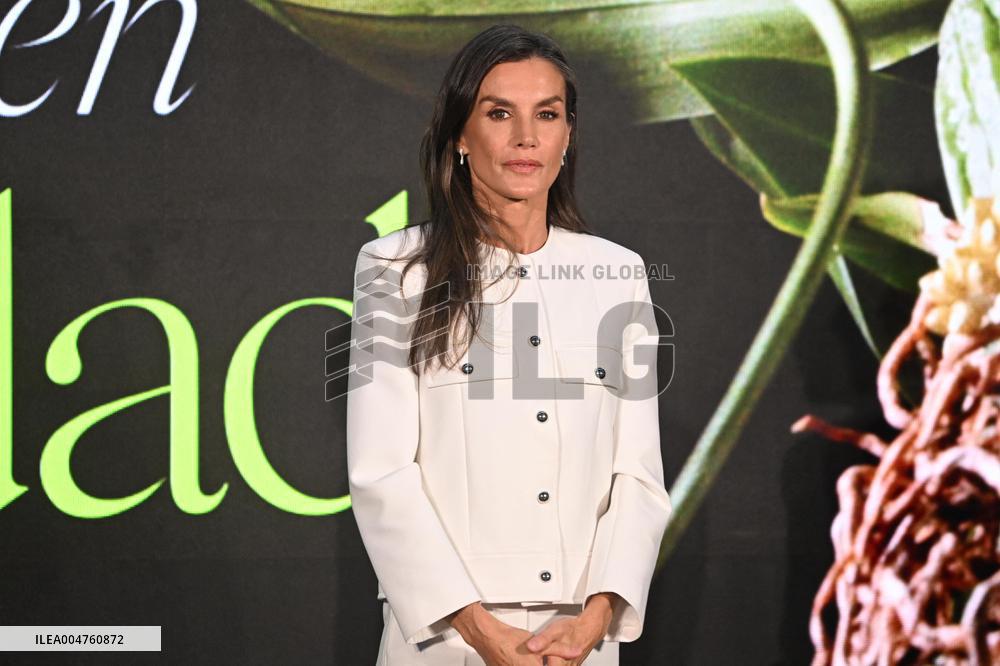 Queen Letizia at the Retina ECO 2025 Awards Ceremony - Madrid