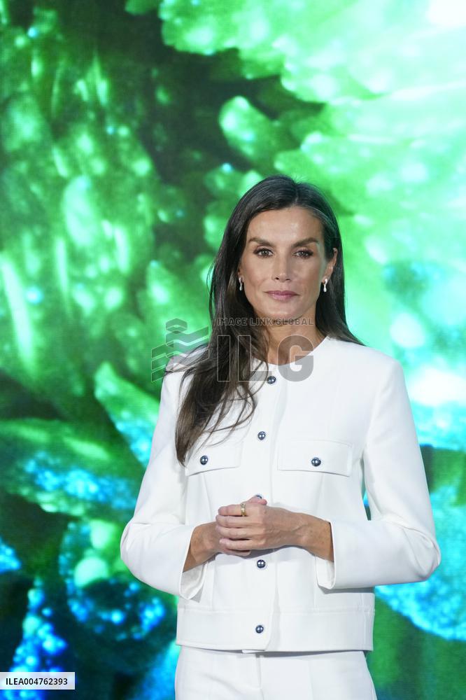 Queen Letizia Attends Delivery The Retina ECO 2025 Awards - Madrid
