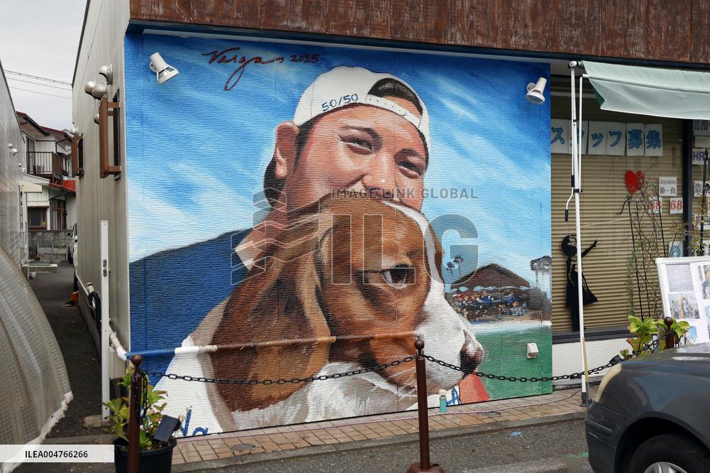 Ohtani mural in his hometown