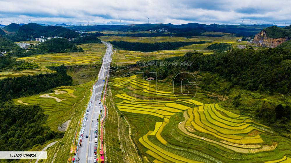 World's First Mountain Canyon Landscape Bridge