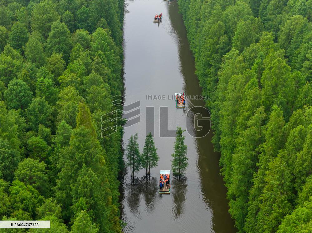 Water Forest Park in Huai'an
