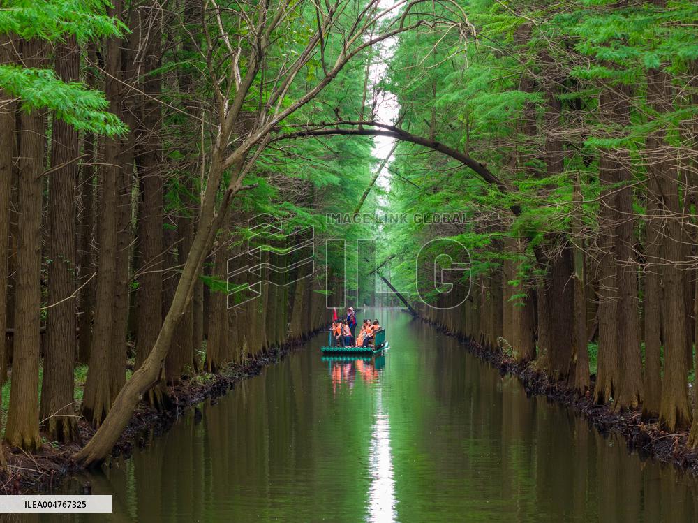 Water Forest Park in Huai'an