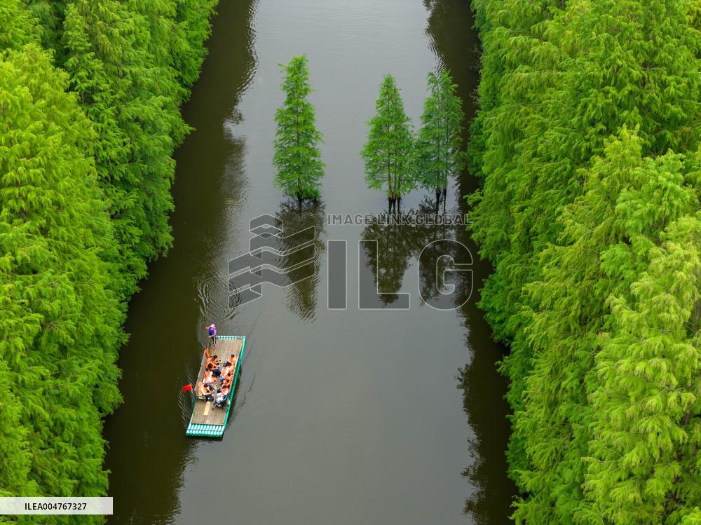 Water Forest Park in Huai'an