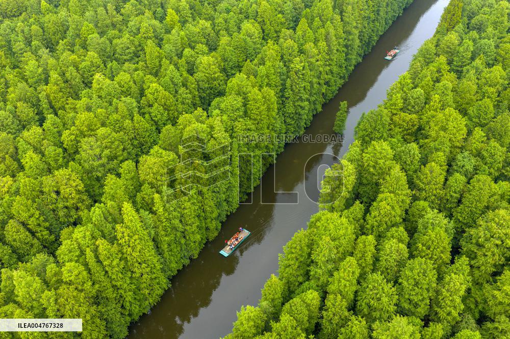 Water Forest Park in Huai'an