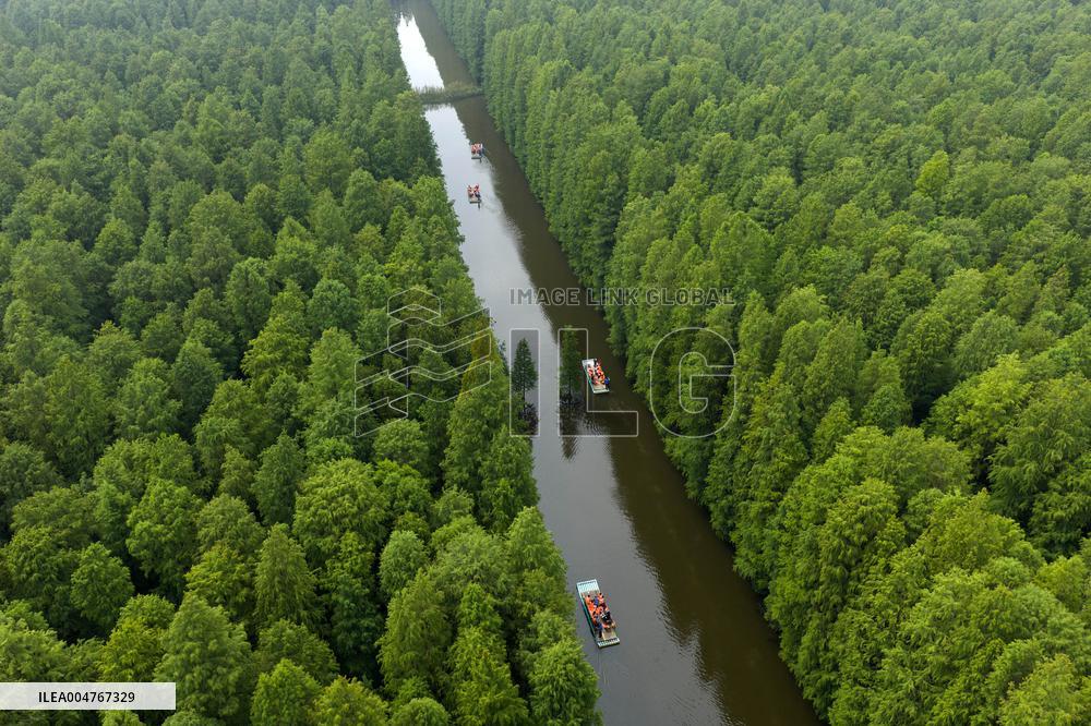 Water Forest Park in Huai'an