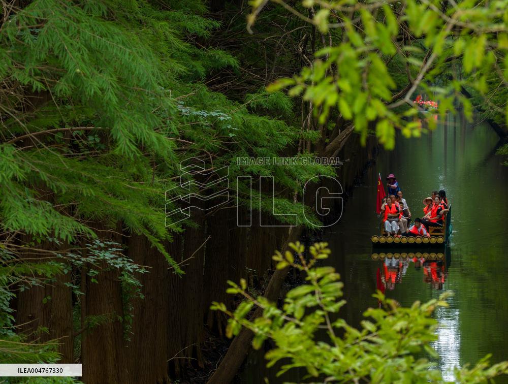 Water Forest Park in Huai'an