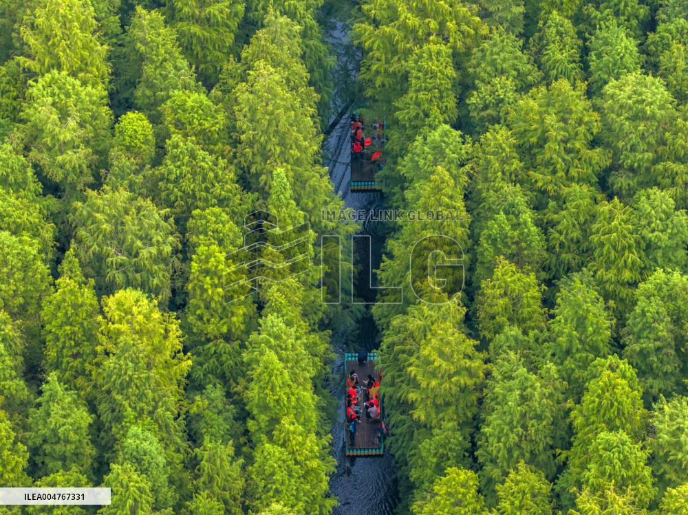 Water Forest Park in Huai'an