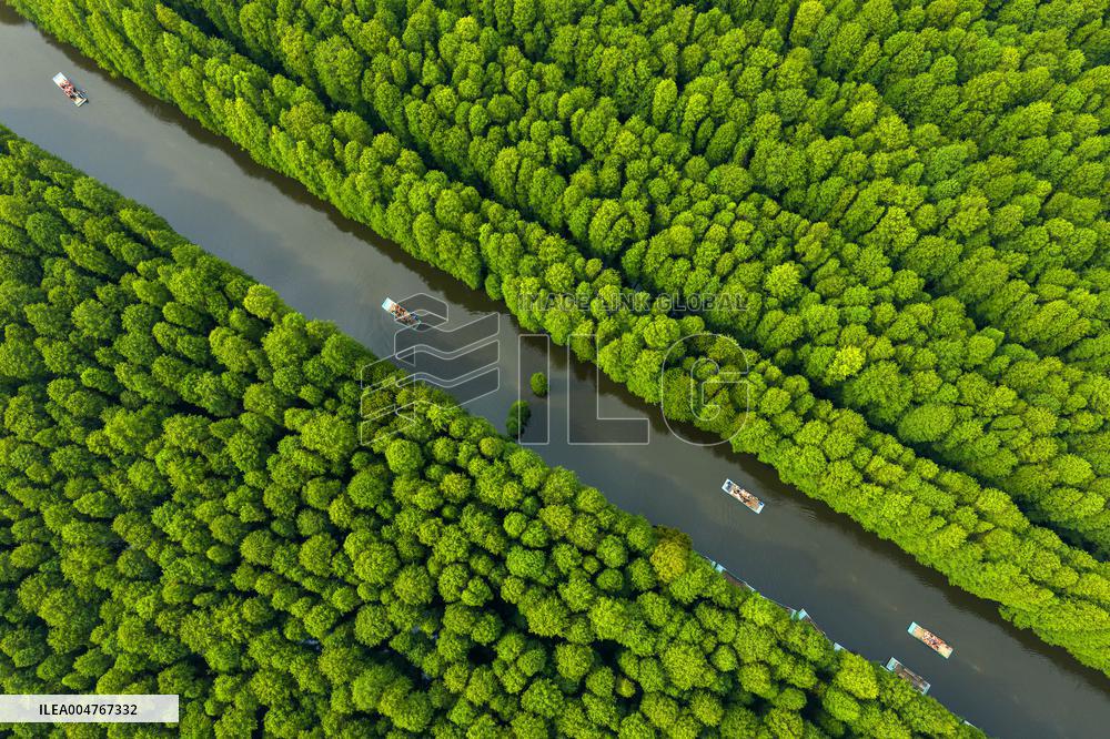 Water Forest Park in Huai'an