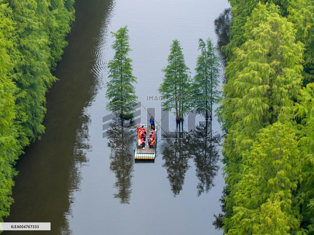 Water Forest Park in Huai'an