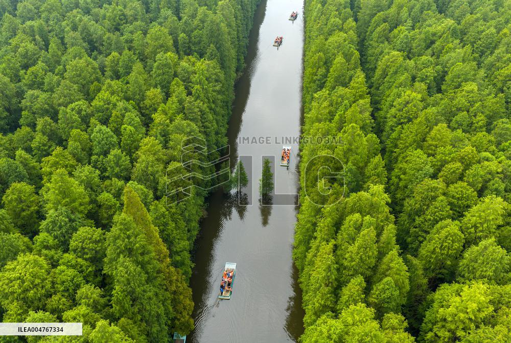 Water Forest Park in Huai'an