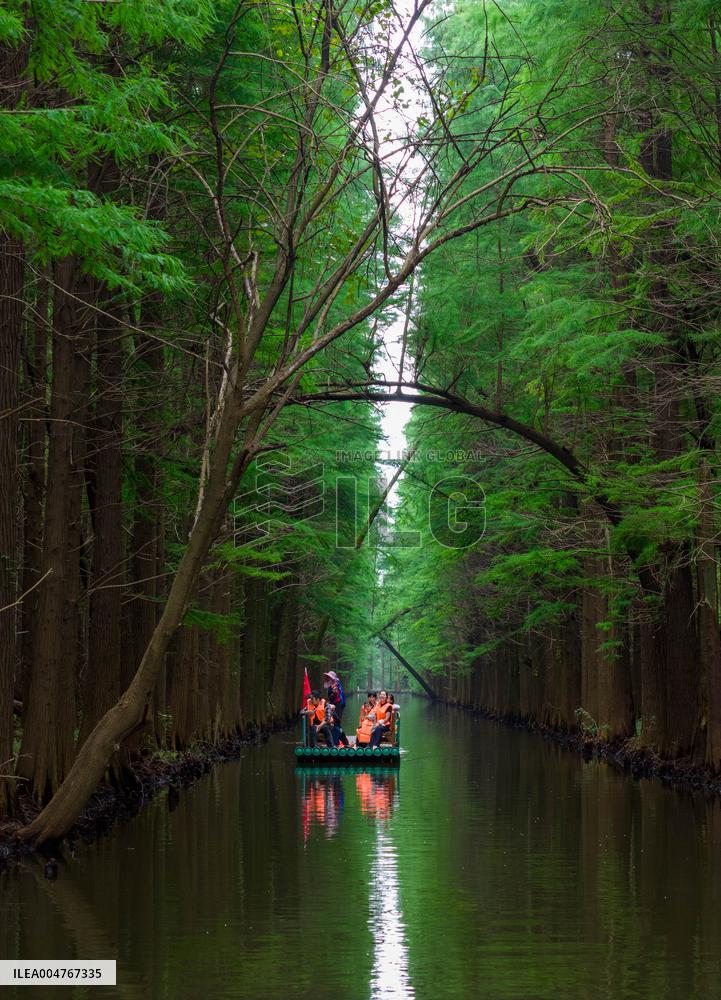 Water Forest Park in Huai'an