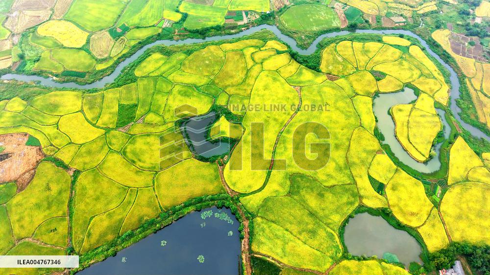 National Standard Farmland in Tongcheng