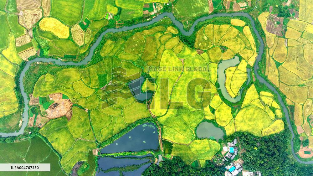 National Standard Farmland in Tongcheng