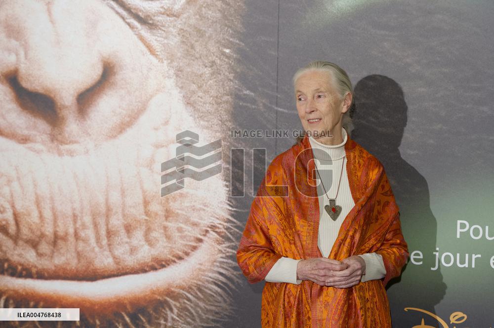 File - Jane Goodall