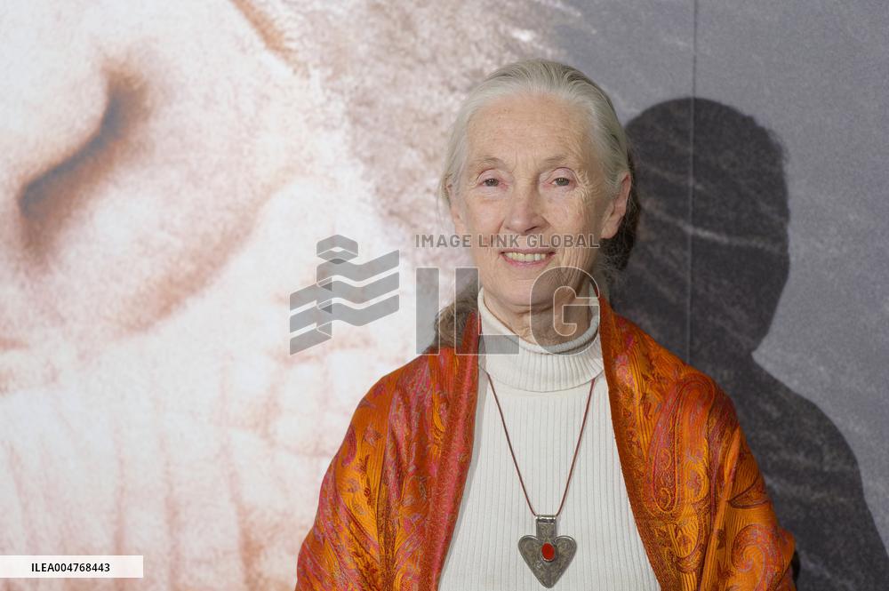 File - Jane Goodall
