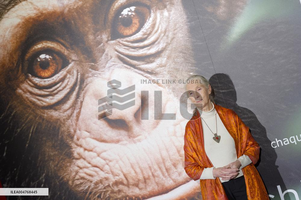 File - Jane Goodall