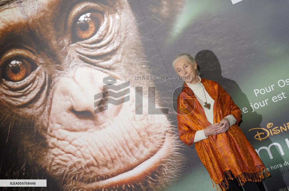 File - Jane Goodall