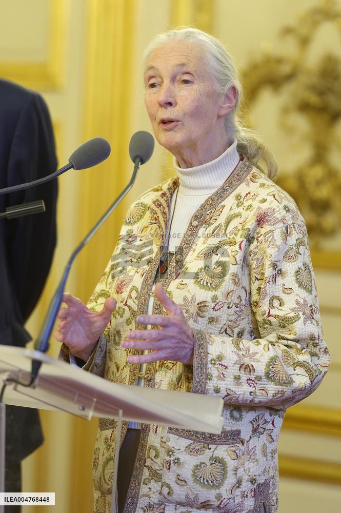 File - Jane Goodall