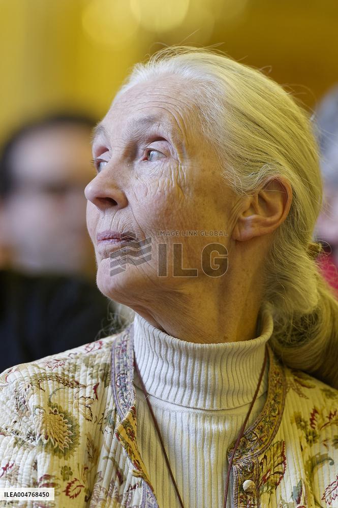 File - Jane Goodall