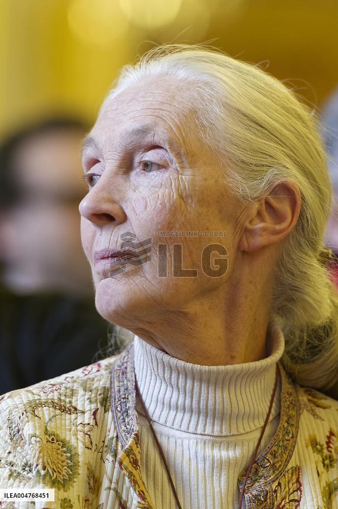 File - Jane Goodall