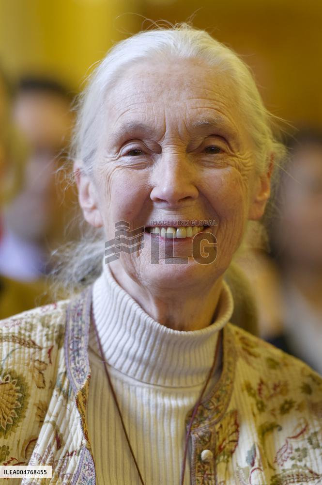 File - Jane Goodall
