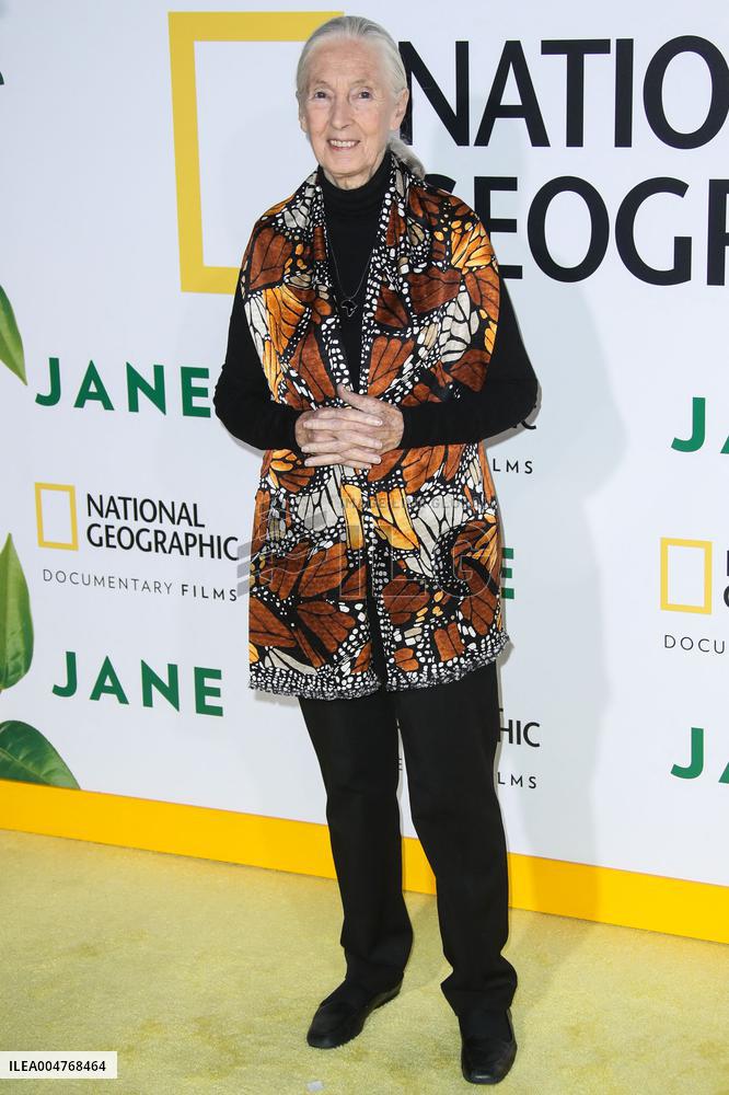 Jane Goodall Dead At 91