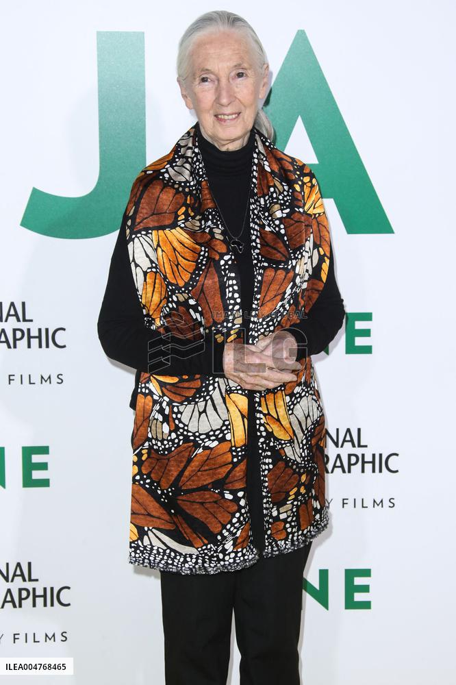 Jane Goodall Dead At 91